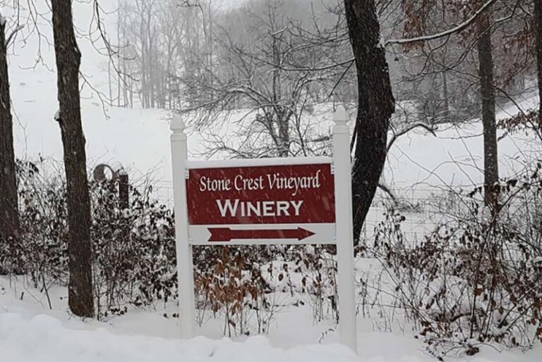 26731654 1840397292646575 6333336646206181484 n 768x514