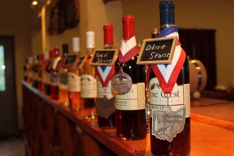 72041769 2767683196584642 6567922138605420544 o 768x514