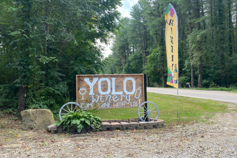 Yolo Winery 1 768x512