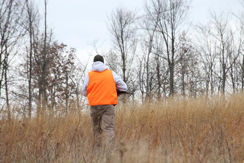 Simco Wildlife Area Visit Coshocton