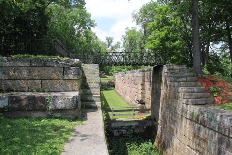 React Park website image 768x513