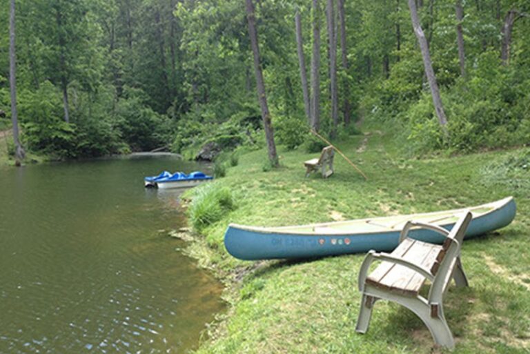 WoodburyCabinRental12 768x513