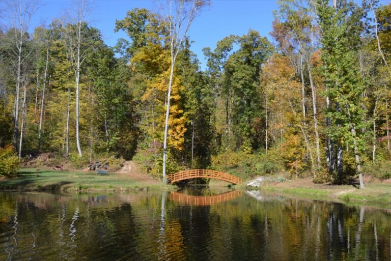 WoodburyCabinRental4 768x513