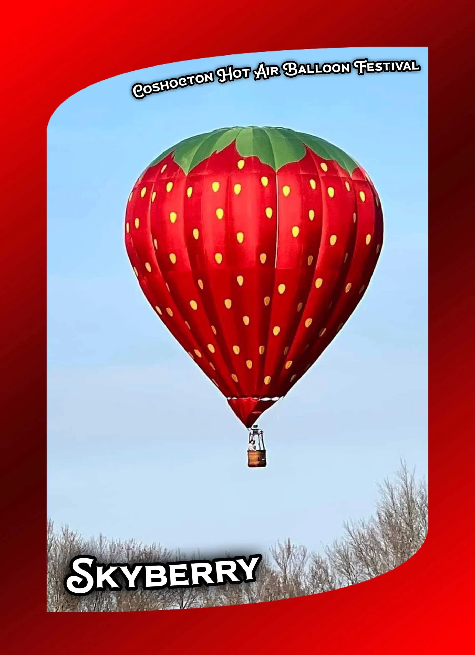 Skyberry - Pilot: Emily Mouser, Sponsor: McWane Ductile