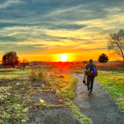 Disc Golf