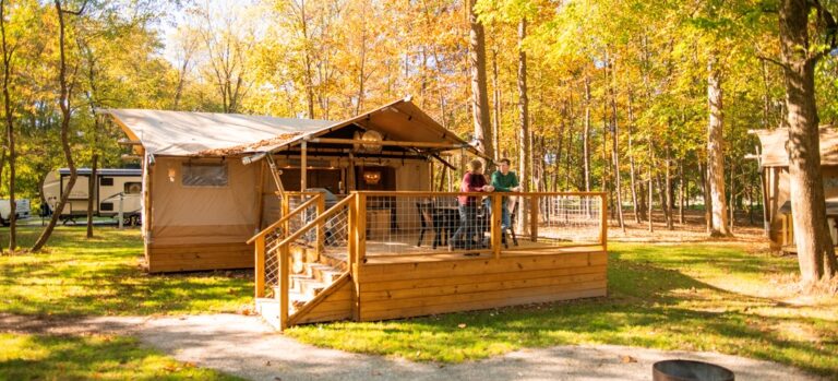 35174media43e5197f a577 49c6 988f d2e95325ef3f 768x349