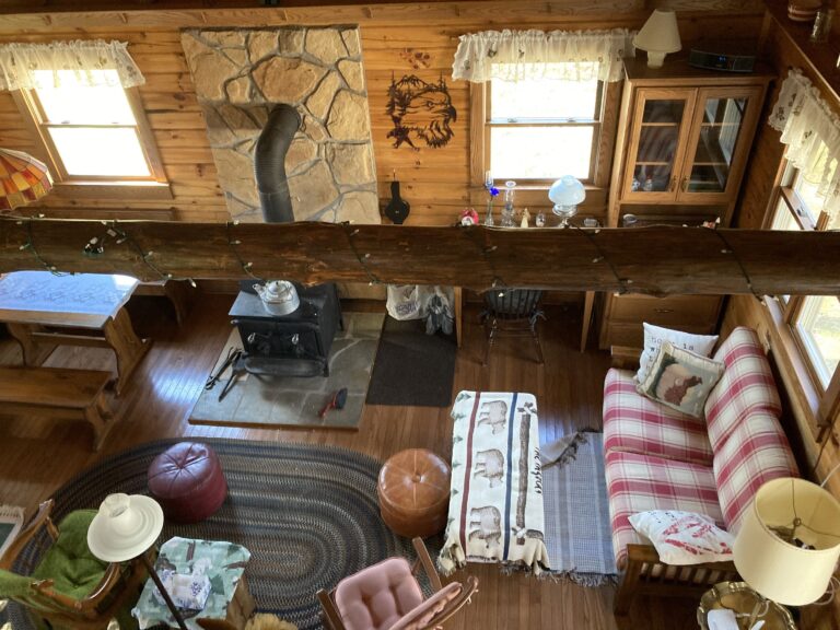 IMG 0172 optimized 2000 768x576