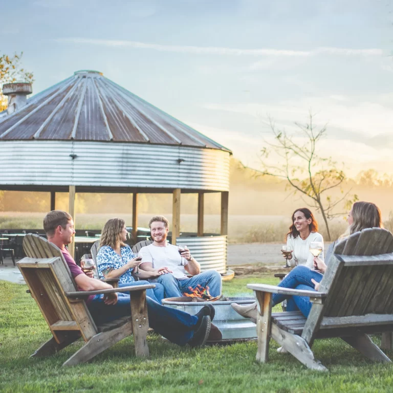 wINERY PHOTO 768x768