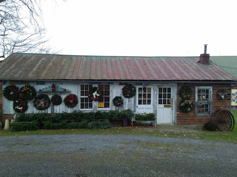 Antique Shop at Fencerow 1 768x576