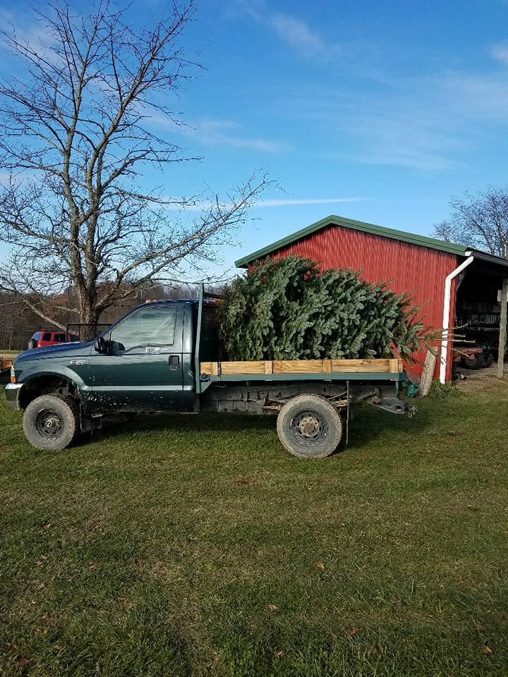 Fencerow Tree on a truck